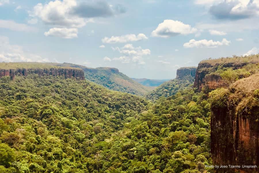 Chapada da Diamantina Experience