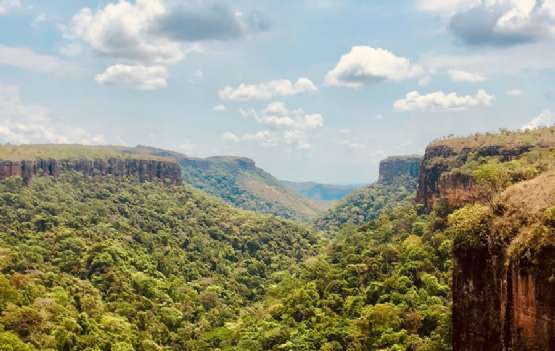 Chapada da Diamantina Experience